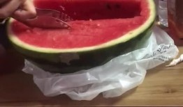 吃瓜神器网红,引领潮流的美食新宠